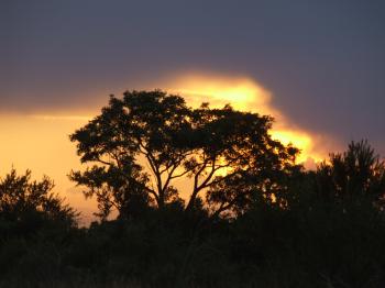<img:http://elftown.heddate.com/stuff/z/40324/Vacation%2520Photos%2520TK/Sunset.jpg?y=0&x=350>