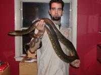 <img200*0:stuff/z/40466/house%2520of%2520reptiles/i1173147025_3.jpg>