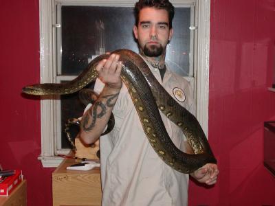<img400*0:http://elftown.heddate.com/stuff/z/40466/house%2520of%2520reptiles/i1173147025_3.jpg>