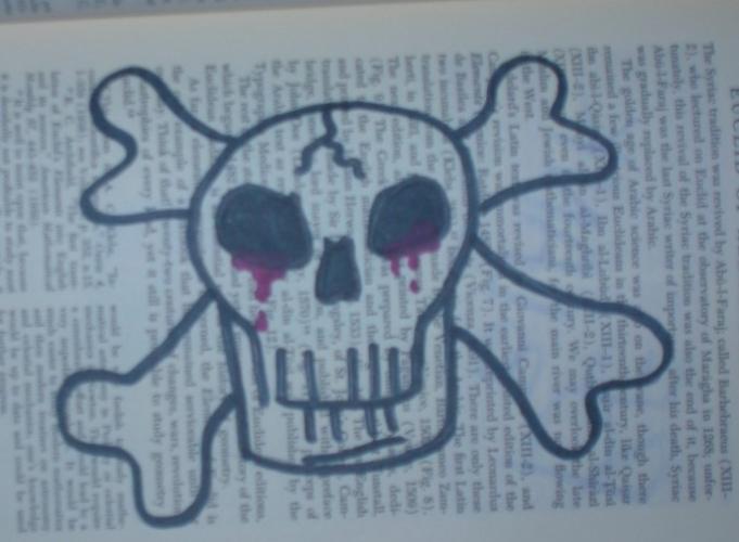 <img0*500:stuff/z/40766/MHIAH%2520Photos/skull.jpg>