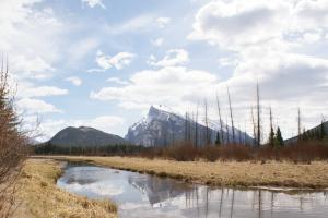 <img300*0:stuff/z/43221/Blaithin%2527s%2520Swamp%2520File/Birds%20038.JPG>