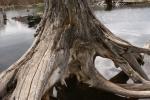 Blaithin's Swamp File