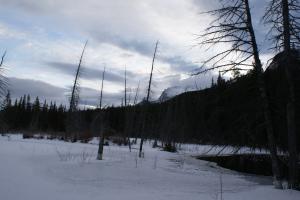 <img300*0:stuff/z/43221/Blaithin%2527s%2520Swamp%2520File/Jan%2010th%20041.JPG>