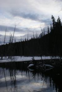 <img200*0:stuff/z/43221/Blaithin%2527s%2520Swamp%2520File/Jan%2010th%20044.JPG>