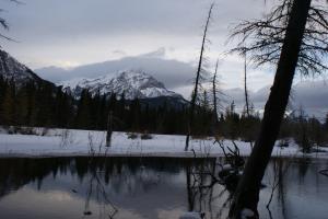 <img300*0:stuff/z/43221/Blaithin%2527s%2520Swamp%2520File/Jan%2010th%20047.JPG>