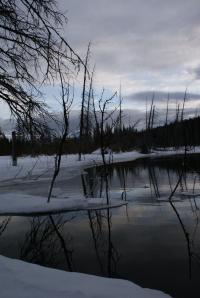 <img200*0:stuff/z/43221/Blaithin%2527s%2520Swamp%2520File/Jan%2010th%20049.JPG>