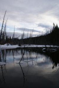 <img200*0:stuff/z/43221/Blaithin%2527s%2520Swamp%2520File/Jan%2010th%20051.JPG>