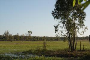<img300*0:stuff/z/43221/Blaithin%2527s%2520Swamp%2520File/Kalinga%20%2b%20172.JPG>