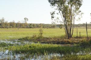 <img300*0:stuff/z/43221/Blaithin%2527s%2520Swamp%2520File/Kalinga%20%2b%20173.JPG>