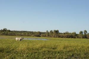 <img300*0:stuff/z/43221/Blaithin%2527s%2520Swamp%2520File/Kalinga%20%2b%20174.JPG>