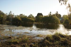 <img300*0:stuff/z/43221/Blaithin%2527s%2520Swamp%2520File/Kalinga%20%2b%20193.JPG>