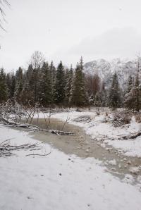 <img200*0:stuff/z/43221/Blaithin%2527s%2520Swamp%2520File/Snow%20Day%20013.JPG>
