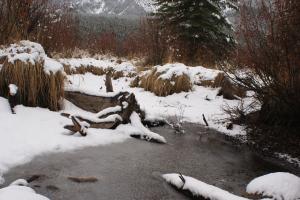 <img300*0:stuff/z/43221/Blaithin%2527s%2520Swamp%2520File/Snow%20Day%20044.JPG>
