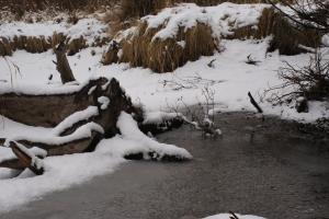 <img300*0:stuff/z/43221/Blaithin%2527s%2520Swamp%2520File/Snow%20Day%20047.JPG>
