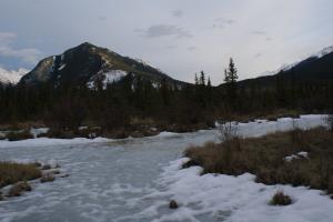 <img300*0:stuff/z/43221/Blaithin%2527s%2520Swamp%2520File/Vermillion%20014.JPG>