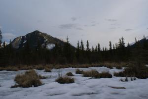 <img300*0:stuff/z/43221/Blaithin%2527s%2520Swamp%2520File/Vermillion%20015.JPG>