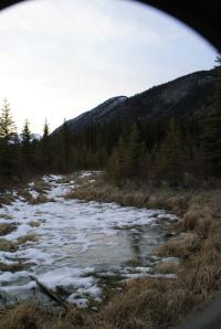<img200*0:stuff/z/43221/Blaithin%2527s%2520Swamp%2520File/Vermillion%20016.JPG>