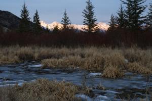 <img300*0:stuff/z/43221/Blaithin%2527s%2520Swamp%2520File/Vermillion%20027.JPG>