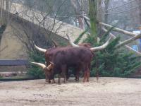 <img200*0:stuff/z/45154/DutchyKiPhotoUpload/P1050249.JPG>