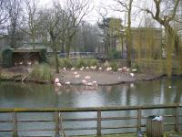 <img200*0:stuff/z/45154/DutchyKiPhotoUpload/P1050261.JPG>