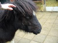 <img200*0:stuff/z/45154/DutchyKiPhotoUpload/P1050269.JPG>