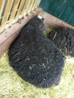 <img150*0:stuff/z/45154/DutchyKiPhotoUpload/P1050284.JPG>