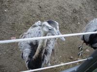 <img200*0:stuff/z/45154/DutchyKiPhotoUpload/P1050293.JPG>