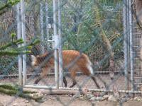 <img200*0:stuff/z/45154/DutchyKiPhotoUpload/P1050299.JPG>