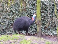 <img200*0:stuff/z/45154/DutchyKiPhotoUpload/P1050300.JPG>