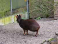 <img200*0:stuff/z/45154/DutchyKiPhotoUpload/P1050304.JPG>