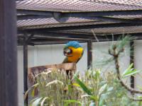 <img200*0:stuff/z/45154/DutchyKiPhotoUpload/P1050305.JPG>