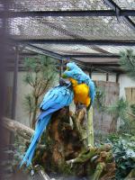 <img150*0:stuff/z/45154/DutchyKiPhotoUpload/P1050306.JPG>
