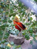 <img150*0:stuff/z/45154/DutchyKiPhotoUpload/P1050310.JPG>