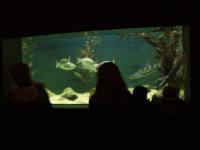 <img200*0:stuff/z/45154/DutchyKiPhotoUpload/P1050370.JPG>
