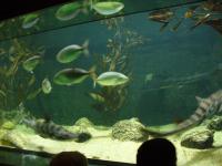 <img200*0:stuff/z/45154/DutchyKiPhotoUpload/P1050371.JPG>