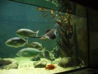 <img200*0:stuff/z/45154/DutchyKiPhotoUpload/P1050382.JPG>