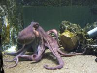 <img200*0:stuff/z/45154/DutchyKiPhotoUpload/P1050392.JPG>