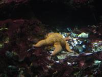 <img200*0:stuff/z/45154/DutchyKiPhotoUpload/P1050400.JPG>