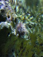 <img150*0:stuff/z/45154/DutchyKiPhotoUpload/P1050419.JPG>