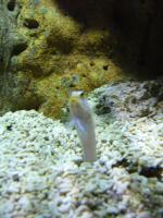 <img150*0:stuff/z/45154/DutchyKiPhotoUpload/P1050420.JPG>