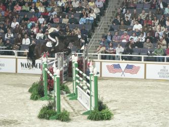 <img0*250:stuff/z/4641/Horses%2520by%2520Lady%2520Di/i1169523943_25.jpg>