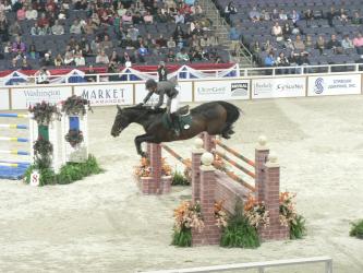 <img0*250:stuff/z/4641/Horses%2520by%2520Lady%2520Di/i1169523944_29.jpg>