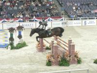 Horses by Lady Di
