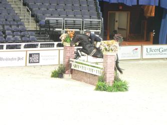 <img0*250:stuff/z/4641/Horses%2520by%2520Lady%2520Di/i1169523944_36.jpg>