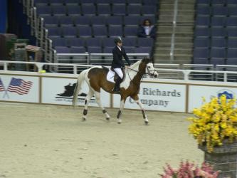 <img0*250:stuff/z/4641/Horses%2520by%2520Lady%2520Di/i1169523944_40.jpg>