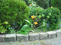 <img0*150:stuff/z/46887/Nehirwen%2520Stock%2520-%2520garden/i1239806418_8.jpg>