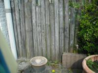 <img0*150:stuff/z/46887/Nehirwen%2520Stock%2520-%2520garden/i1239806419_16.jpg>