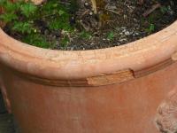 <img0*150:stuff/z/46887/Nehirwen%2520Stock%2520-%2520garden/i1239806419_18.jpg>
