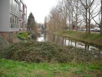<img0*150:stuff/z/46887/Nehirwen%2520Stock%2520-%2520garden/i1239806421_31.jpg>