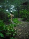 <img0*150:stuff/z/46887/Nehirwen%2520stock%2520-%2520Zoo%2520Animals%25202/Zoo%20101.jpg>